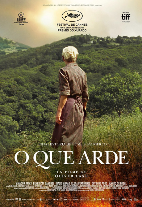O que arde